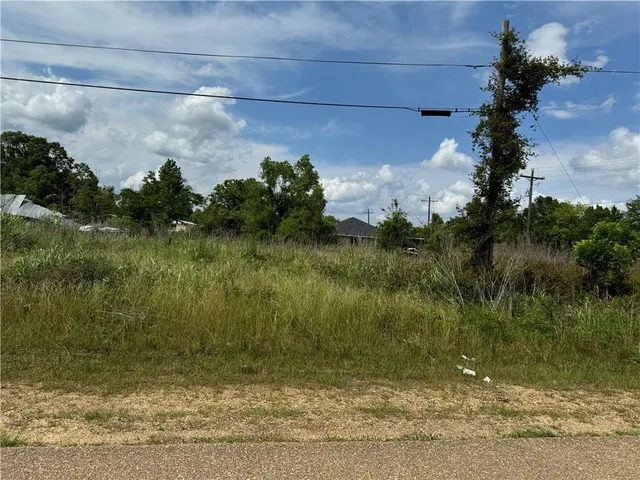 $45,000 | 0 Tangipahoa Avenue, Roseland, LA 70456