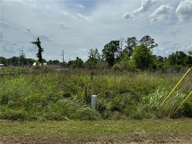 $45,000 | 0 Tangipahoa Avenue, Roseland, LA 70456