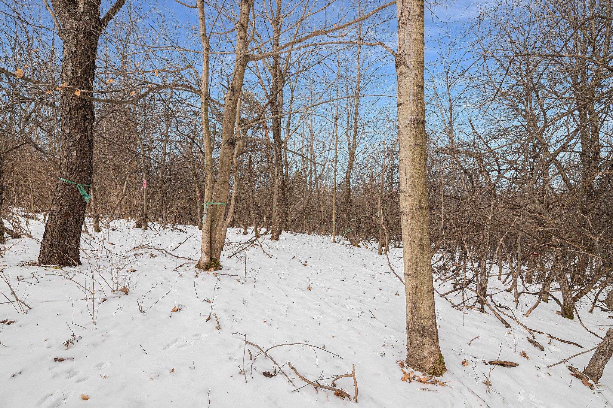 0 Snell Road Frankfort, MI 49635 - Photo 8 of 21