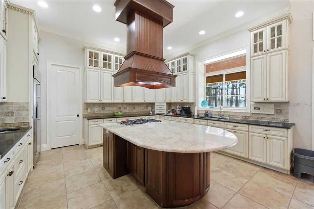 18258 Wayne Road Odessa, FL 33556 - Photo 19 of 100 a kitchen with stainless steel appliances granite countertop a sink and a stove