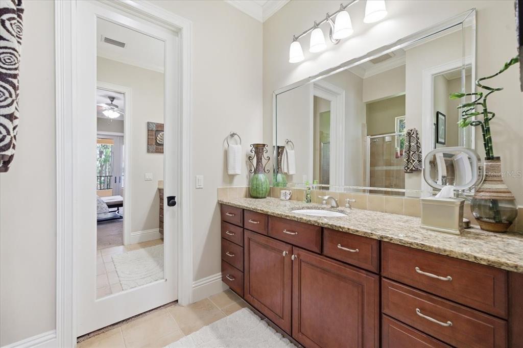 18258 Wayne Road Odessa, FL 33556 - Photo 56 of 100 a bathroom with a granite countertop sink mirror and shower