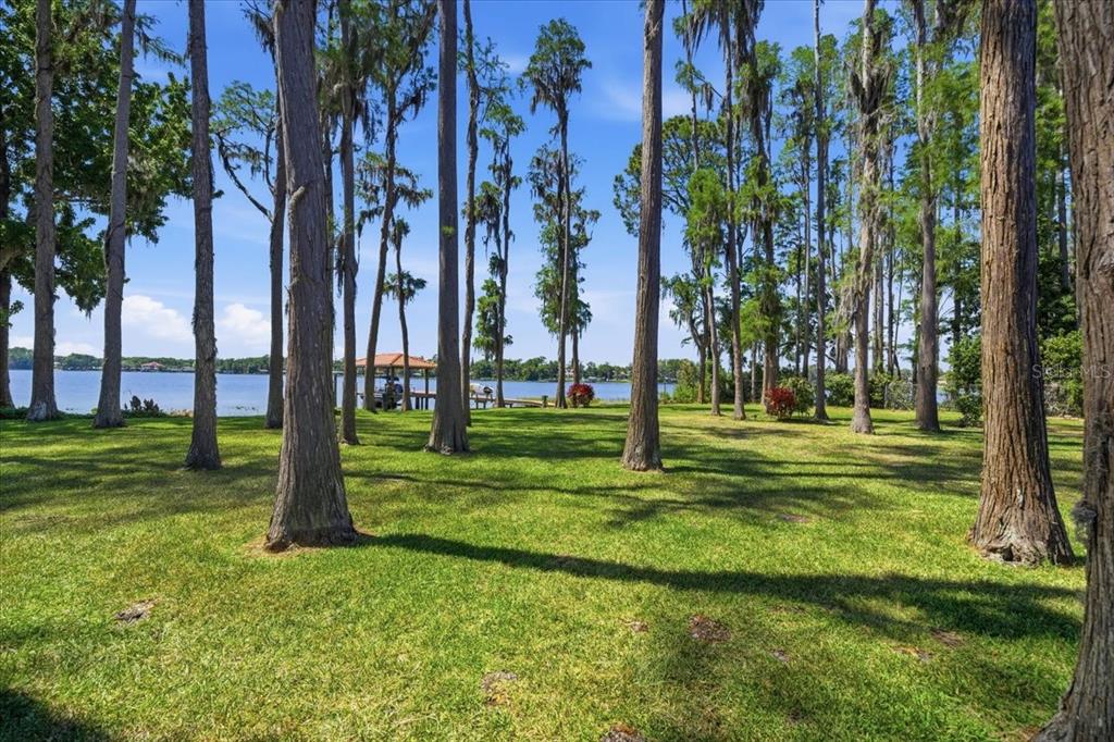 18258 Wayne Road Odessa, FL 33556 - Photo 84 of 100