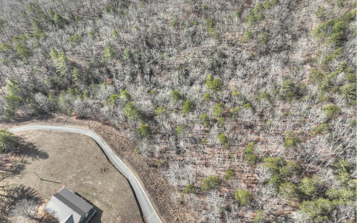 Mt Herman Road Mineral Bluff, GA 30559 - Photo 2 of 15 Additional View