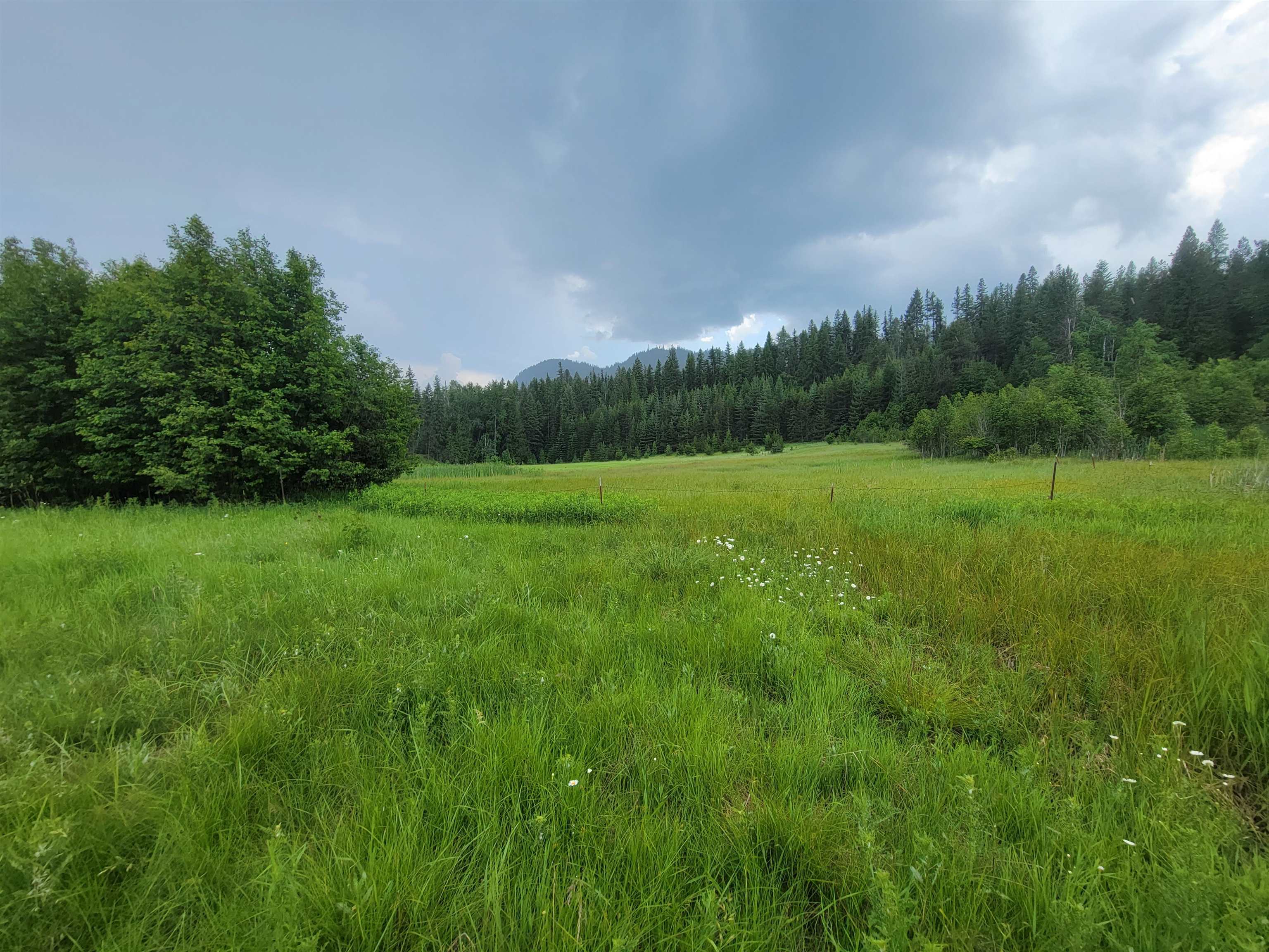 282 Barrer Road Cusick, WA 99119 - Photo 13 of 21