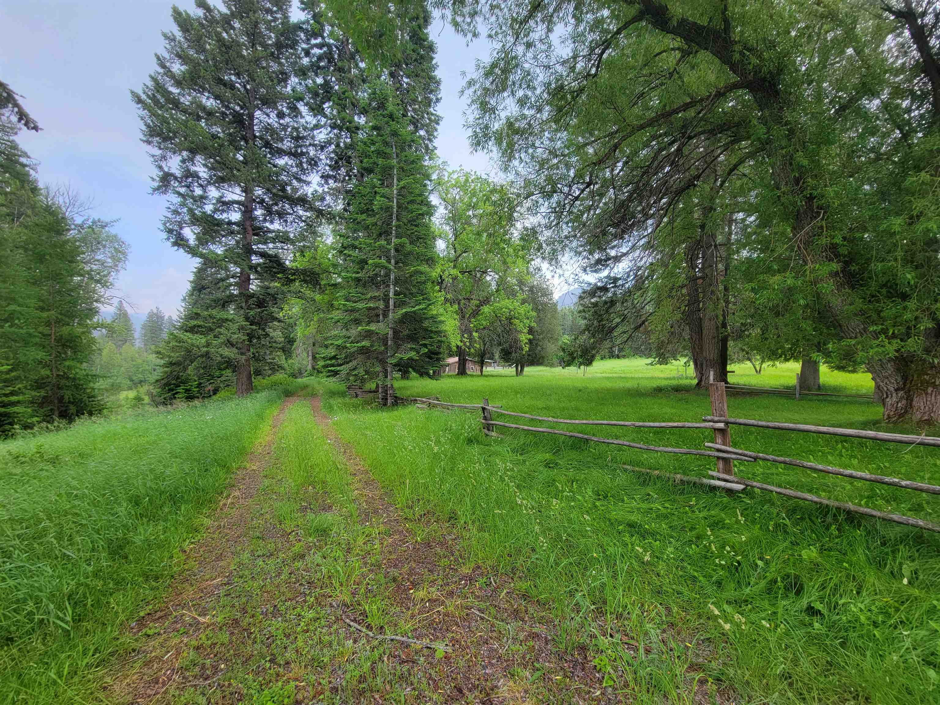 282 Barrer Road Cusick, WA 99119 - Photo 17 of 21