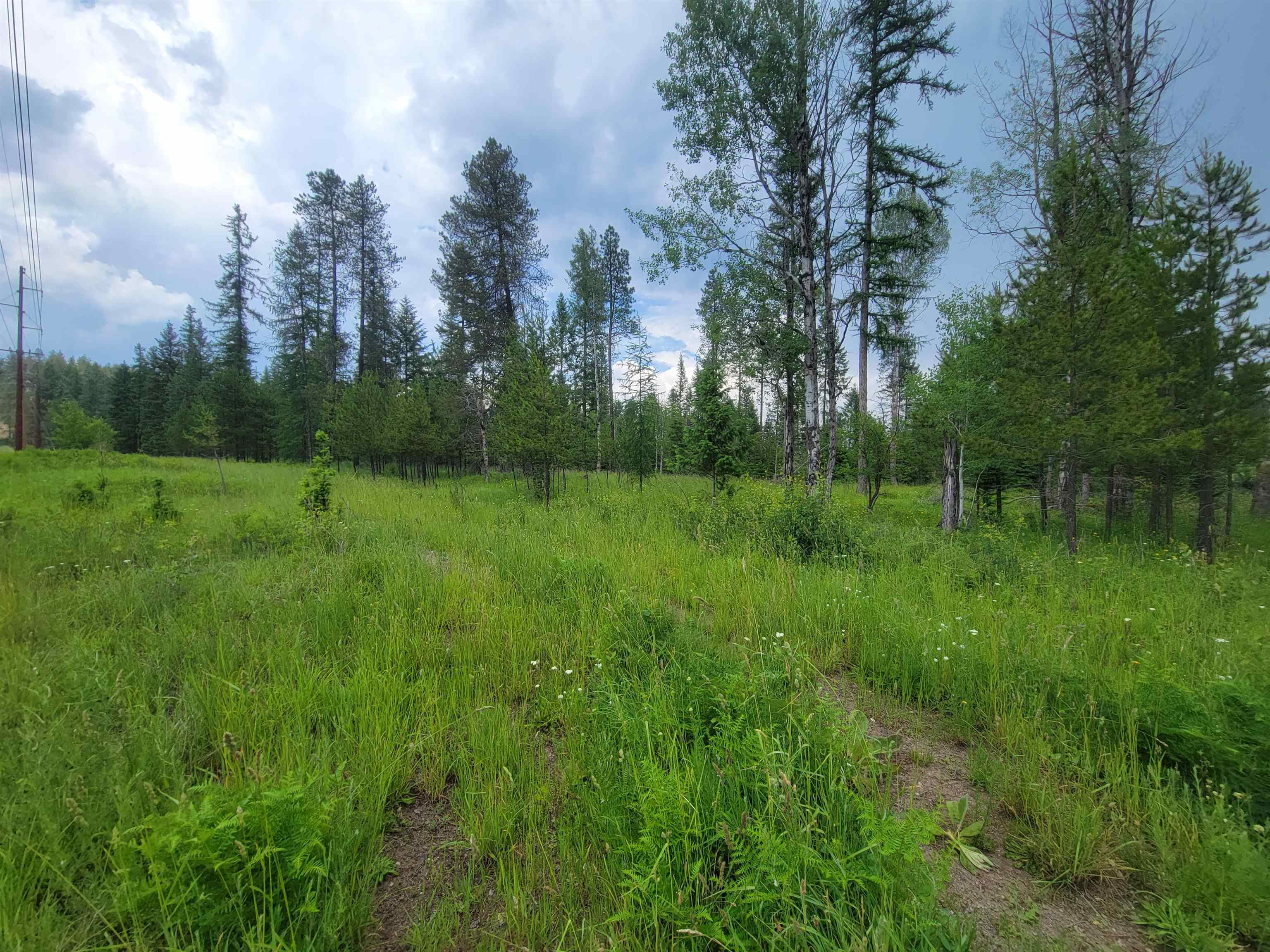 282 Barrer Road Cusick, WA 99119 - Photo 19 of 21