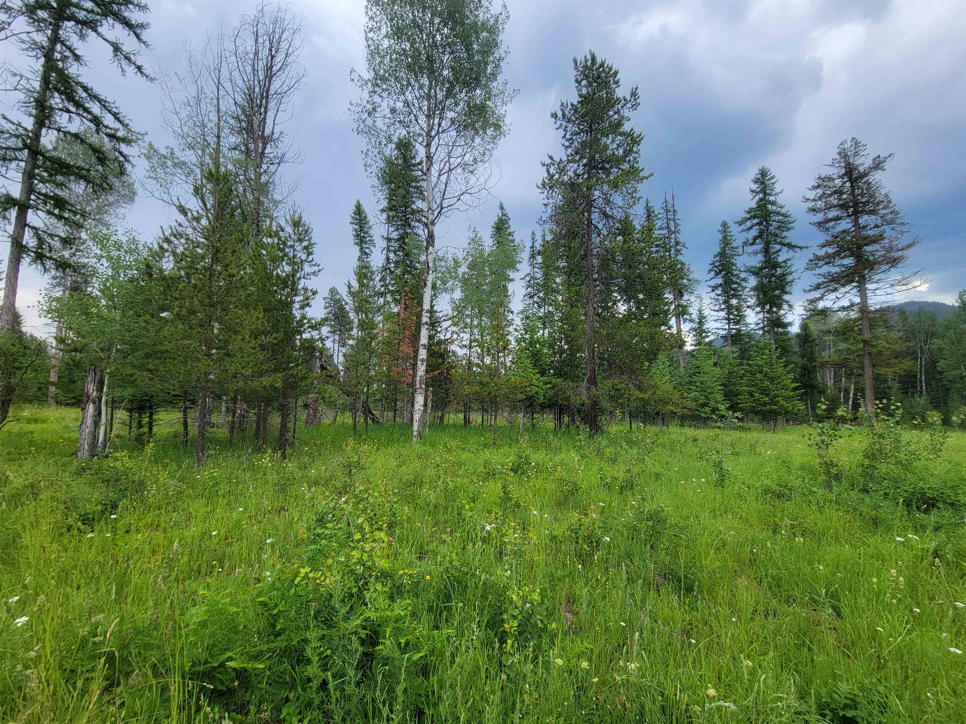 282 Barrer Road Cusick, WA 99119 - Photo 20 of 21