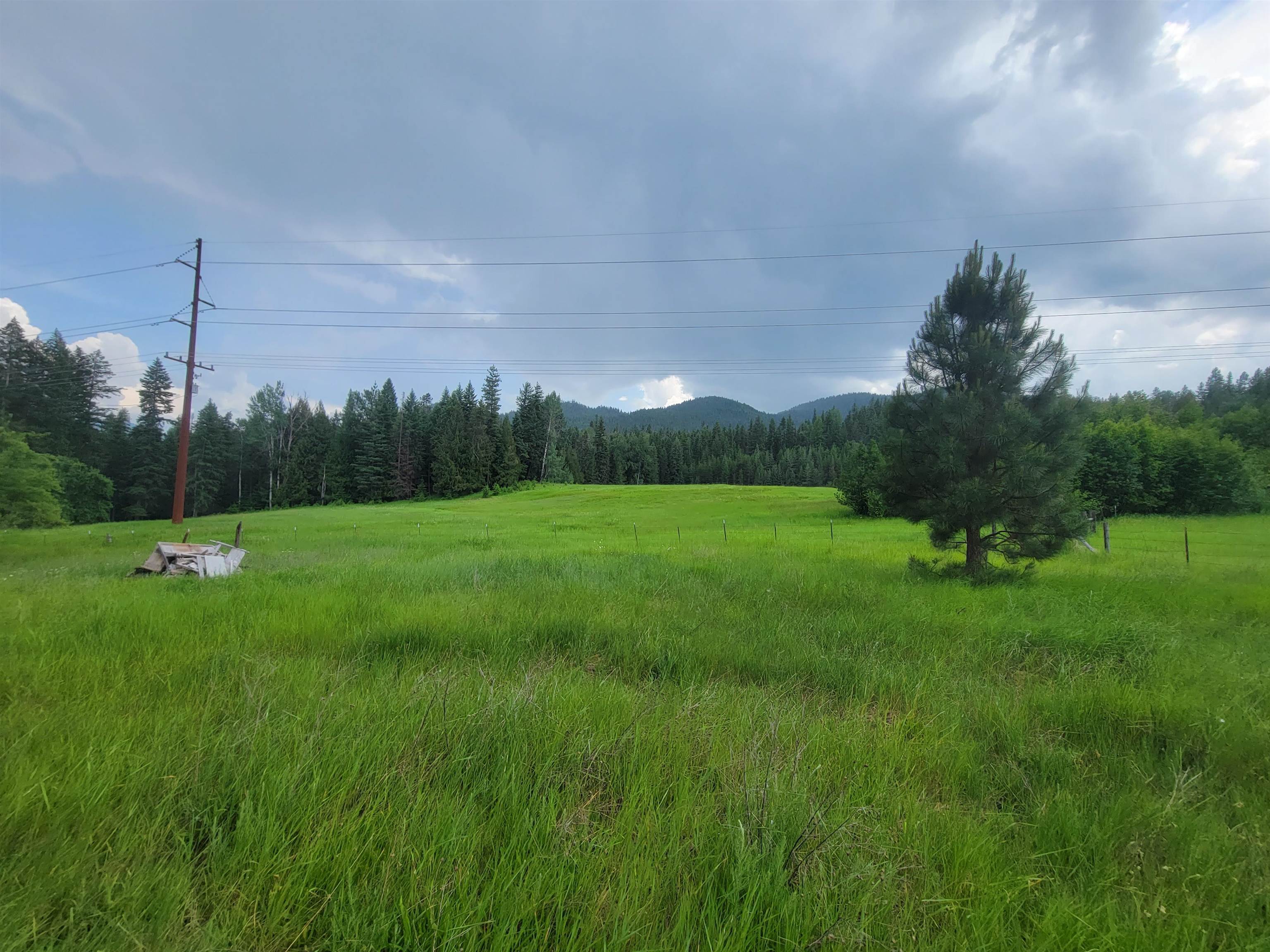 282 Barrer Road Cusick, WA 99119 - Photo 2 of 21