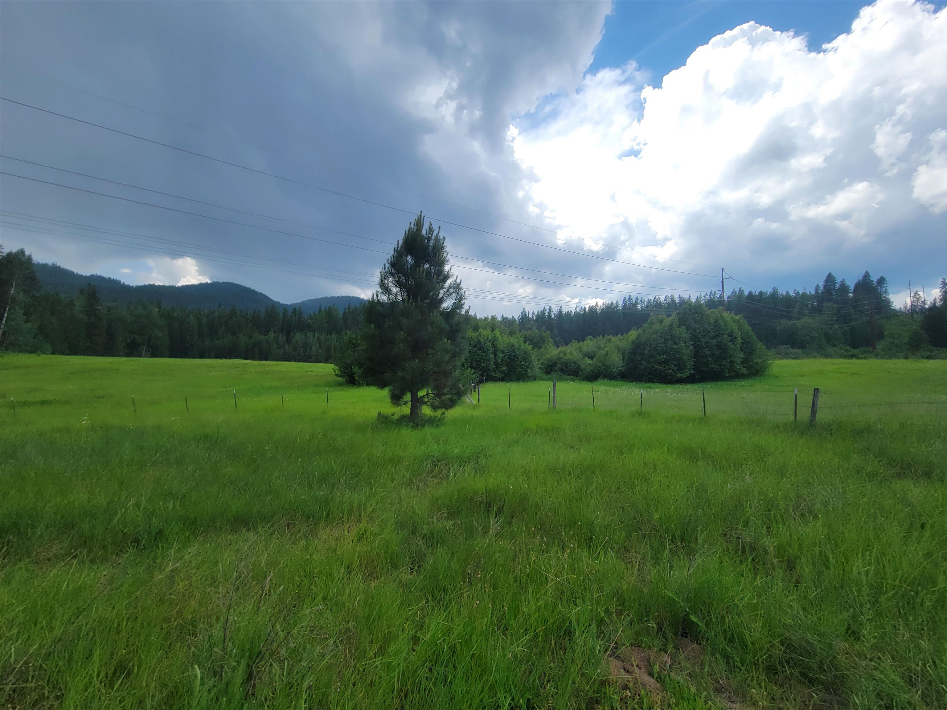 282 Barrer Road Cusick, WA 99119 - Photo 3 of 21