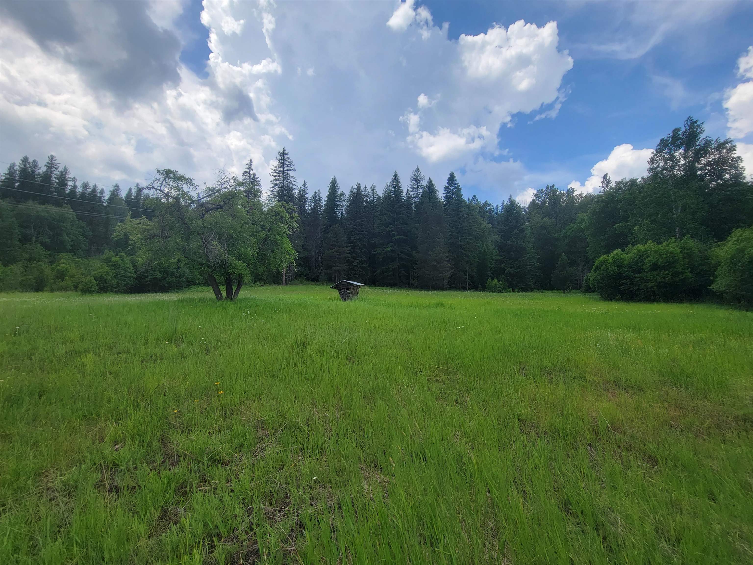 282 Barrer Road Cusick, WA 99119 - Photo 10 of 21