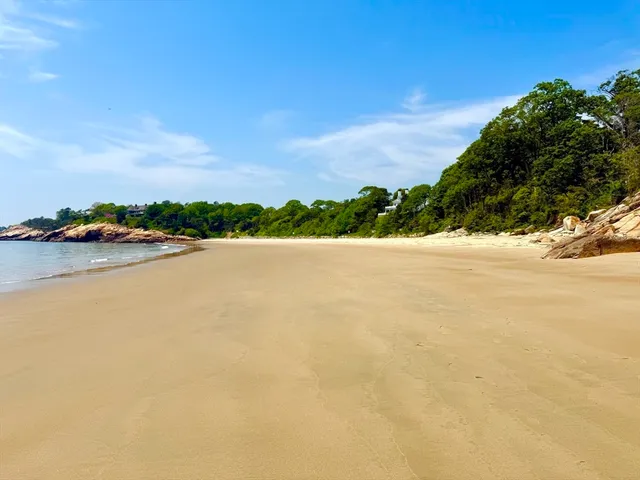 a house that has a tree in front of it