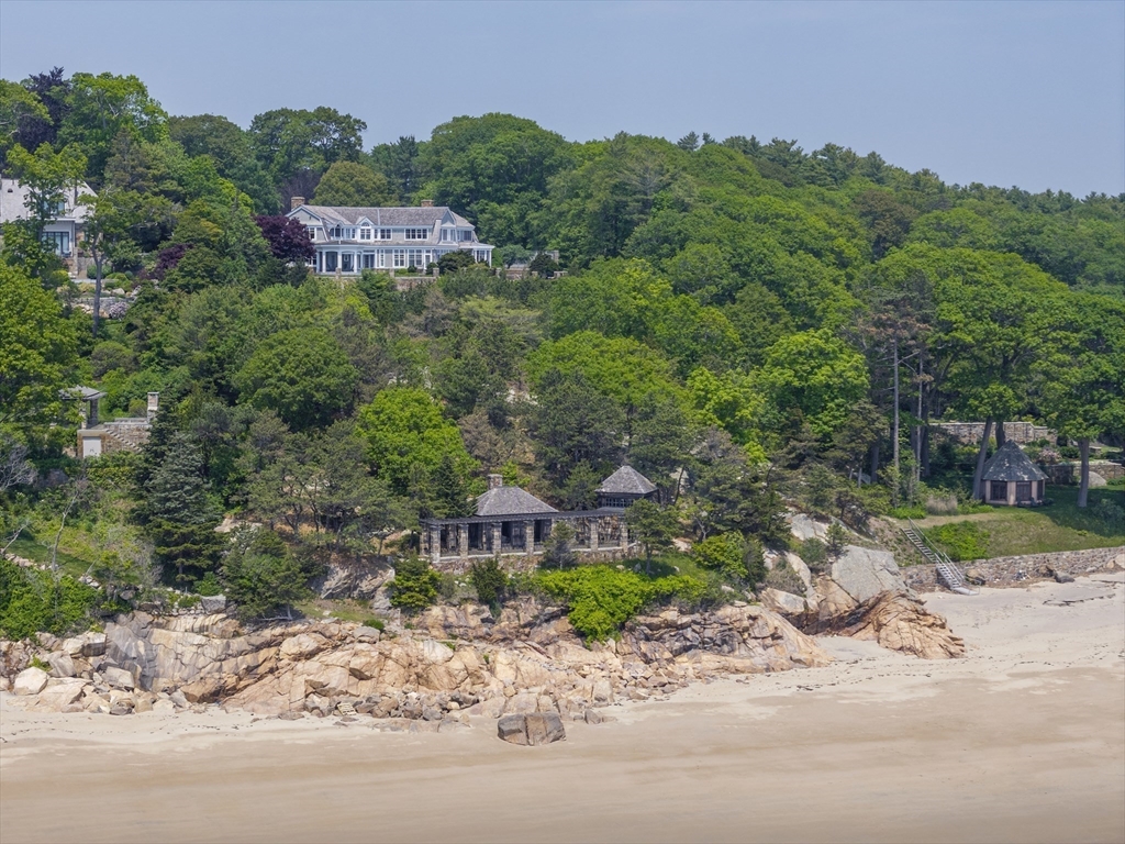 239 Summer Street Manchester, MA 01944 - Photo 41 of 42 a view of a garden with plants and large trees