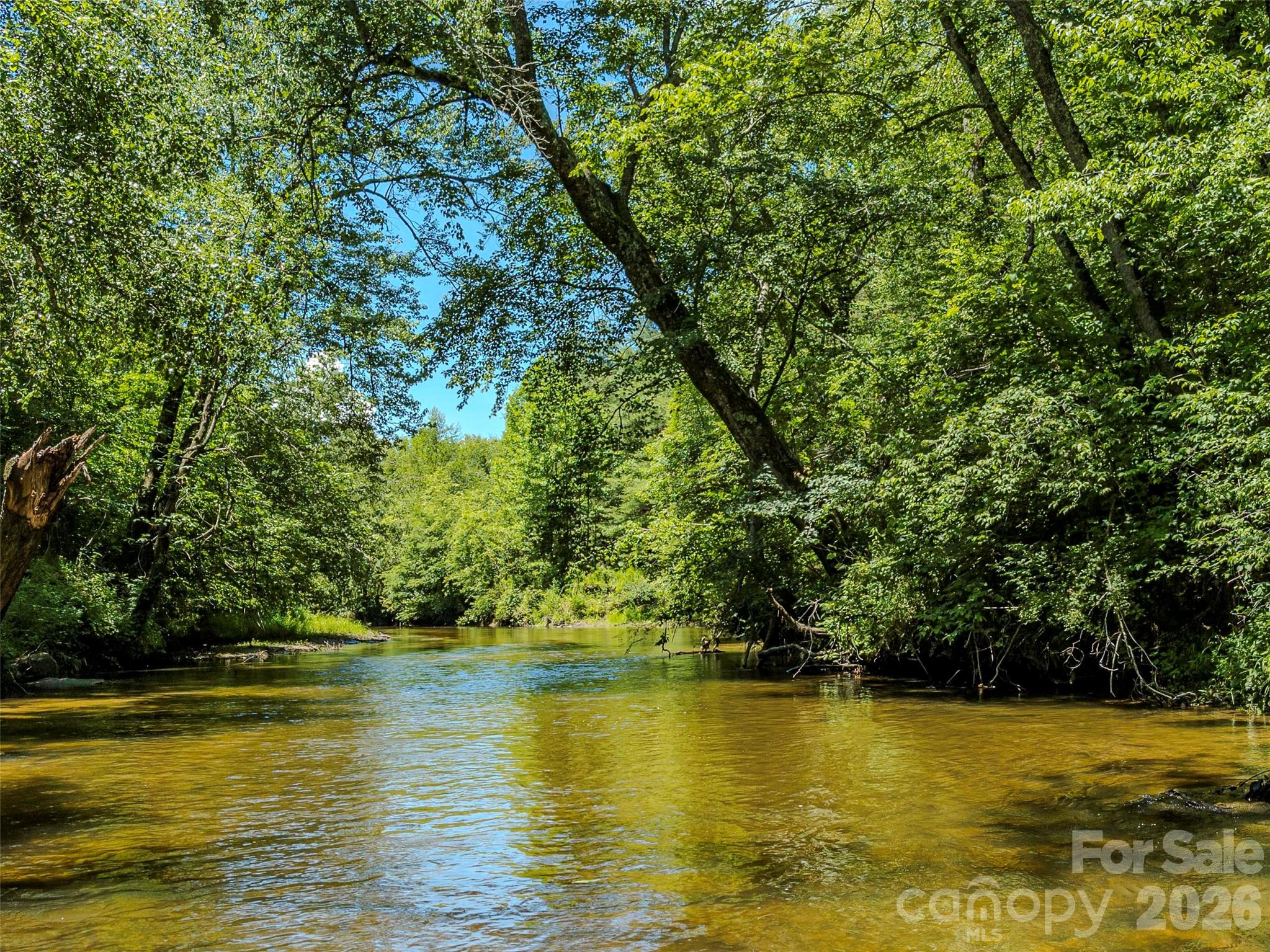 Tbd Canebrake Road Pisgah Forest, NC 28768 - Photo 1 of 43