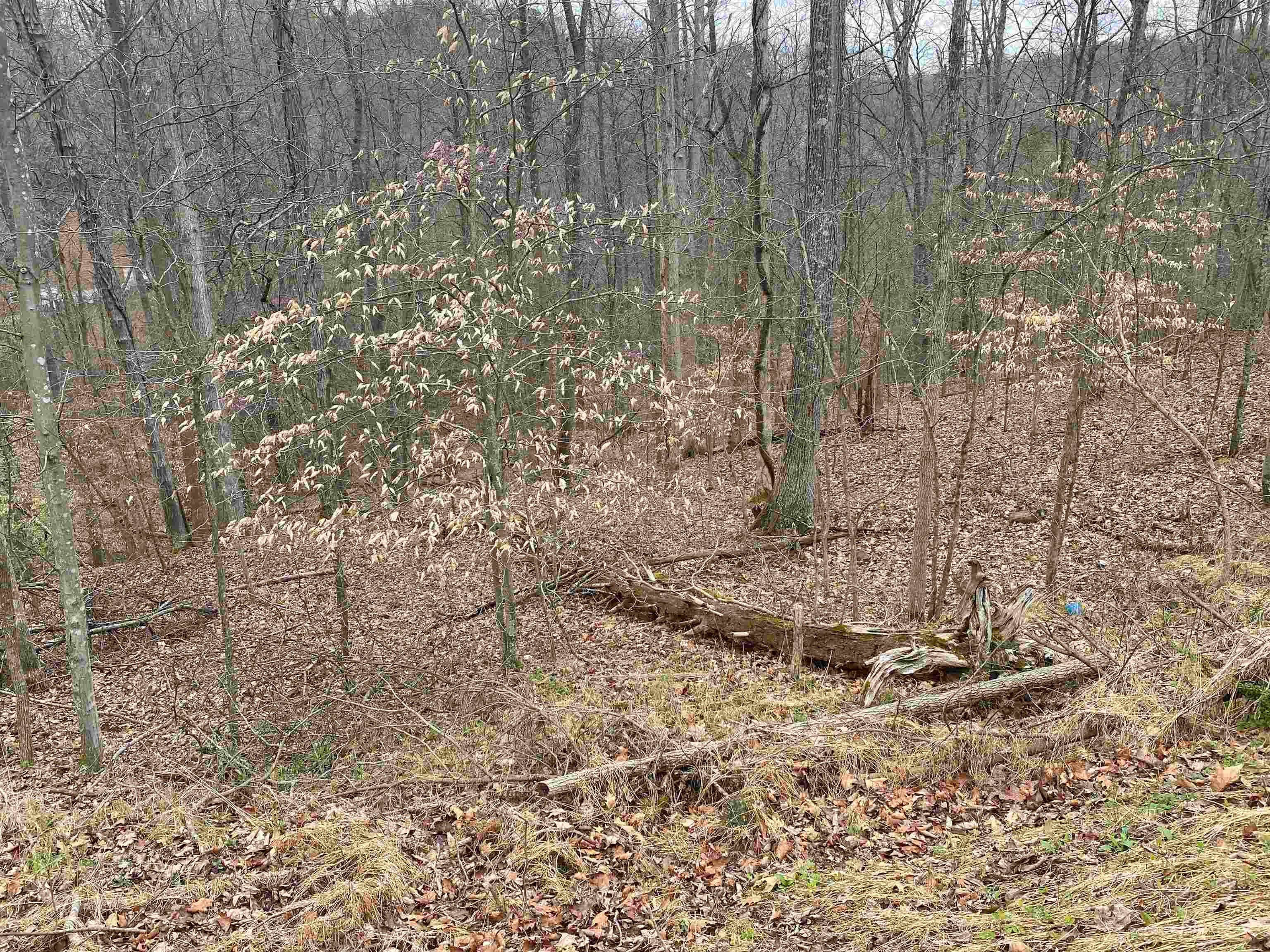 701 Tower Road Hurricane, WV 25526 - Photo 9 of 20 Gallery Image 9