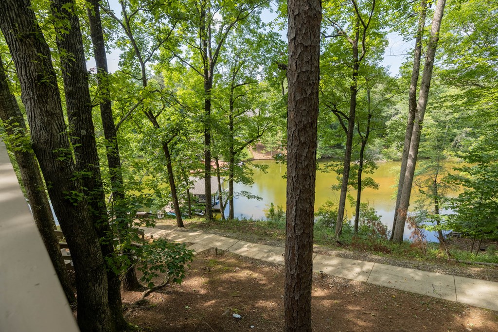 244 Miller Road Hamilton, GA 31811 - Photo 29 of 38 Gallery Image 29