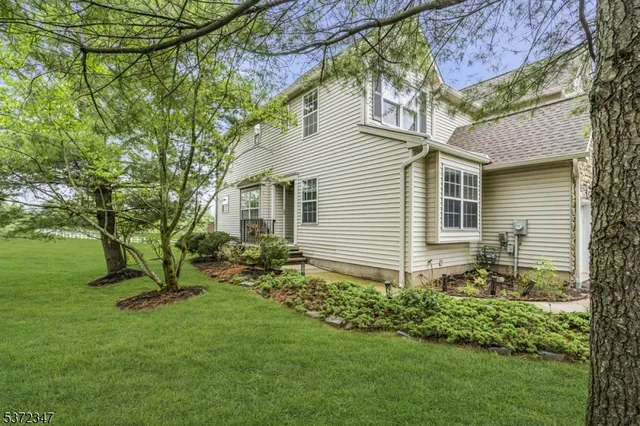 a view of a backyard with plants and a large tree
