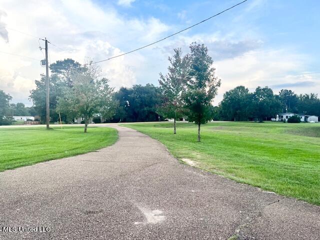 9115 Sumrall Road Crystal Springs, MS 39059 - Photo 3 of 24 Paved Driveway