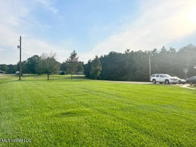 9115 Sumrall Road Crystal Springs, MS 39059 - Photo 4 of 24 Front Yard1