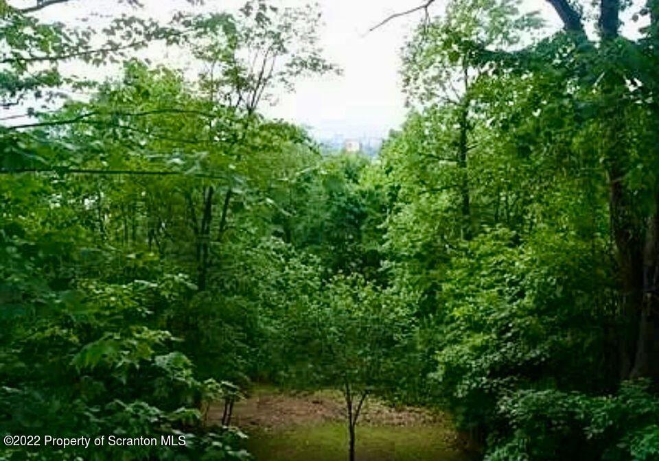 23 East Mountain Road Scranton, PA 18505 - Photo 7 of 26 a view of a lush green forest