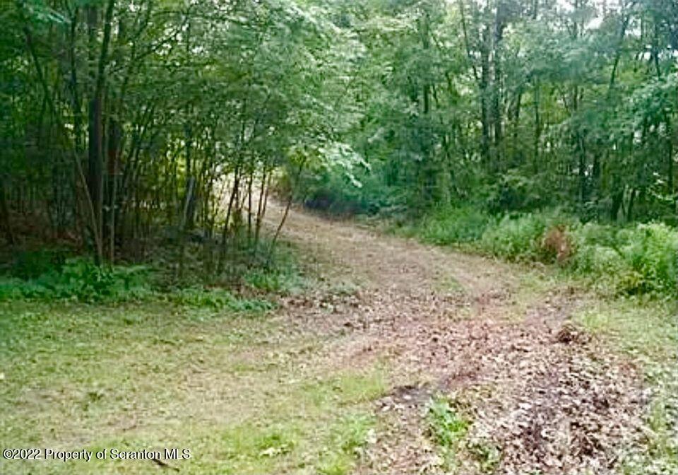 23 East Mountain Road Scranton, PA 18505 - Photo 8 of 26 a big yard with lots of green space and deers