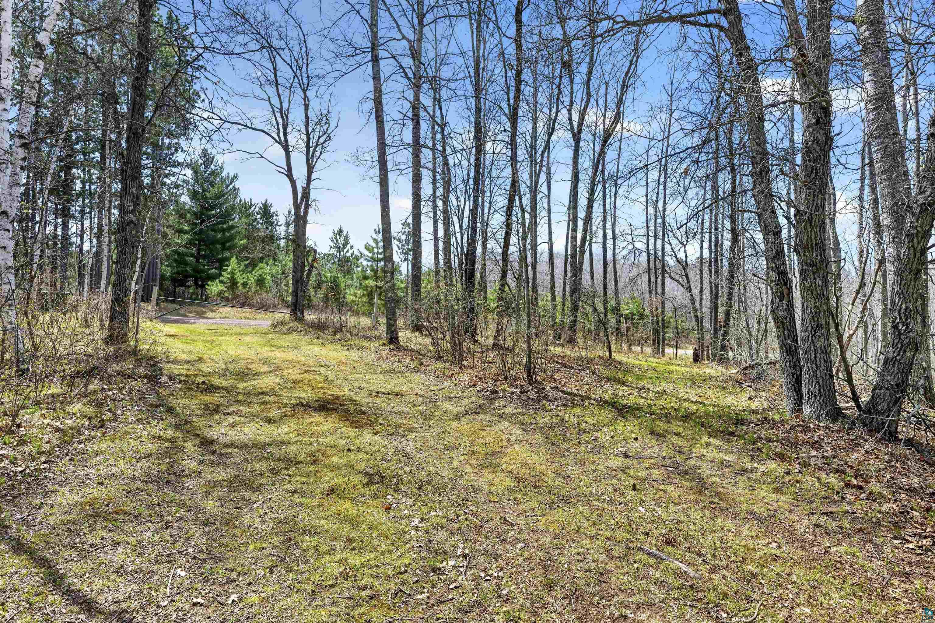 12235 East Crooked Lake Road Gordon, WI 54838 - Photo 35 of 48 Wooded lot with a clear path through deciduous and evergreen trees, featuring a natural ground cover and distant tree lines