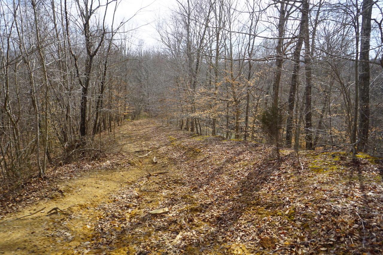 0 Miller Road Patriot, OH 45658 - Photo 11 of 18