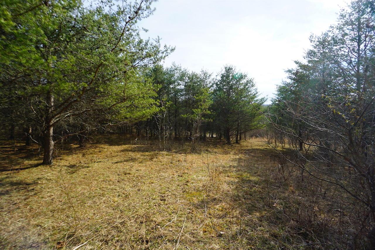 0 Miller Road Patriot, OH 45658 - Photo 12 of 18