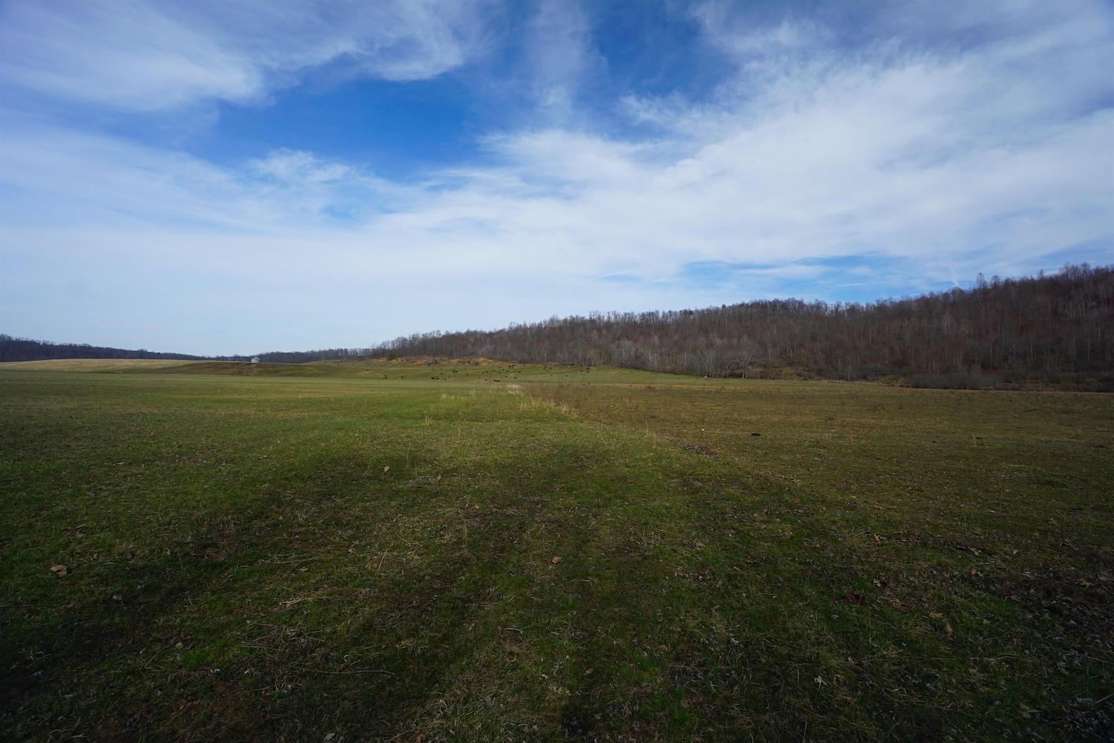 0 Miller Road Patriot, OH 45658 - Photo 7 of 18