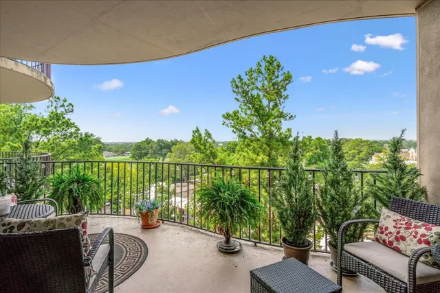 a view of a balcony with lake view and a potted plant