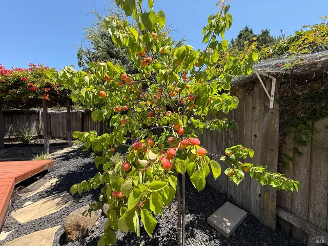 a backyard of a house with table and chairs and wooden fence