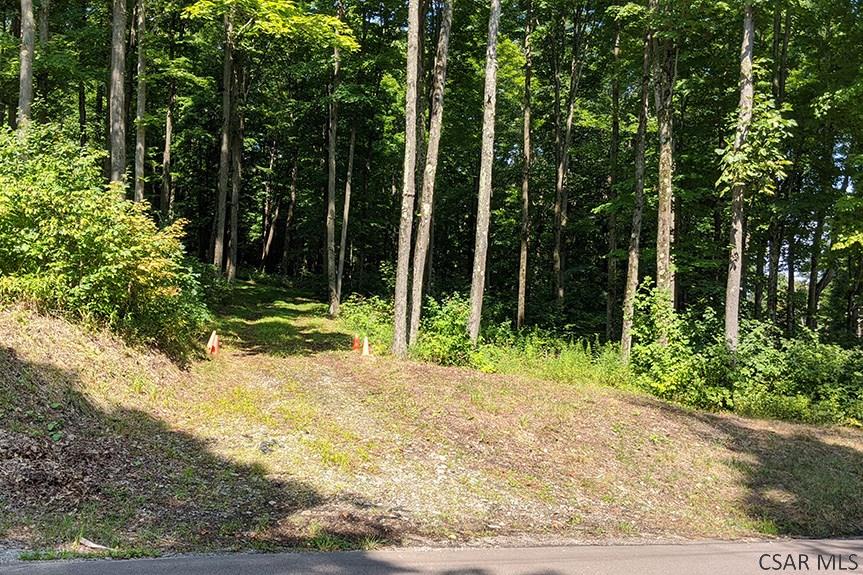 Ridge Road Rockwood, PA 15557 - Photo 21 of 22