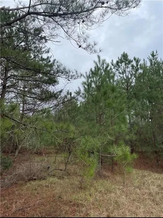 a view of a lake with lots of trees