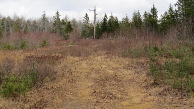 209 Bert Gray Road Sullivan, ME 04664 - Photo 31 of 34 Photo