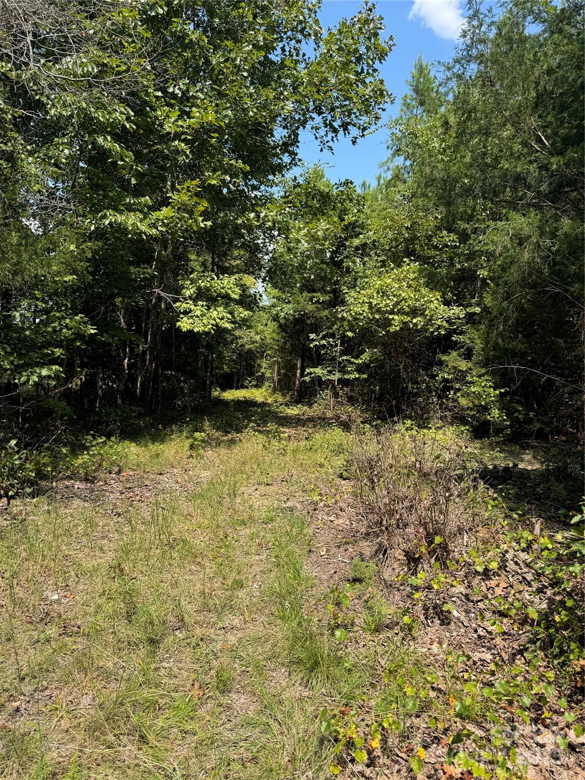 0 Daystar Road, Unit 4 Lancaster, SC 29720 - Photo 11 of 24