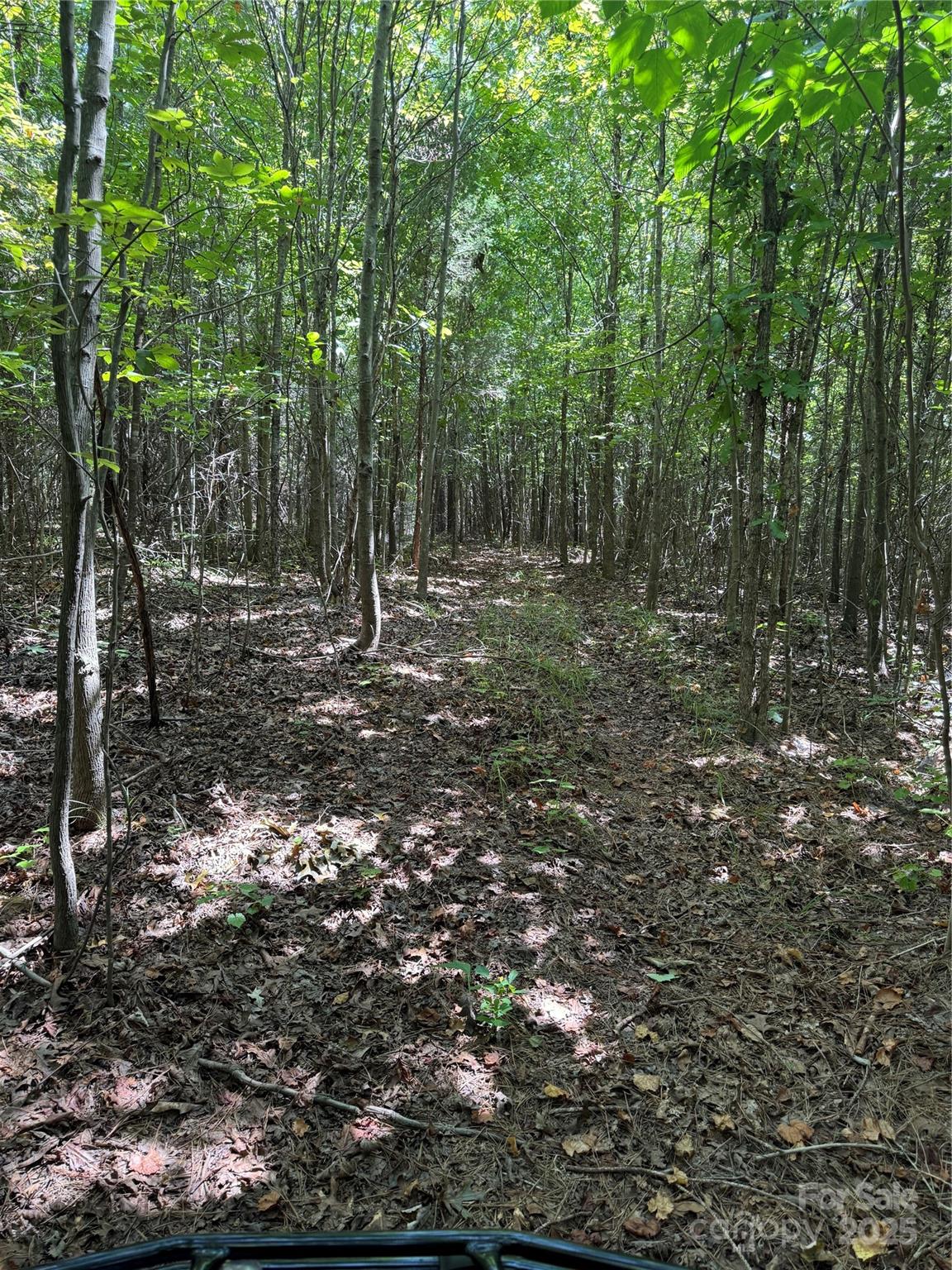 0 Daystar Road, Unit 4 Lancaster, SC 29720 - Photo 13 of 24