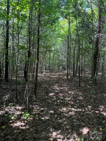 $400,000 | 0 Daystar Road, Unit 4, Lancaster, SC 29720