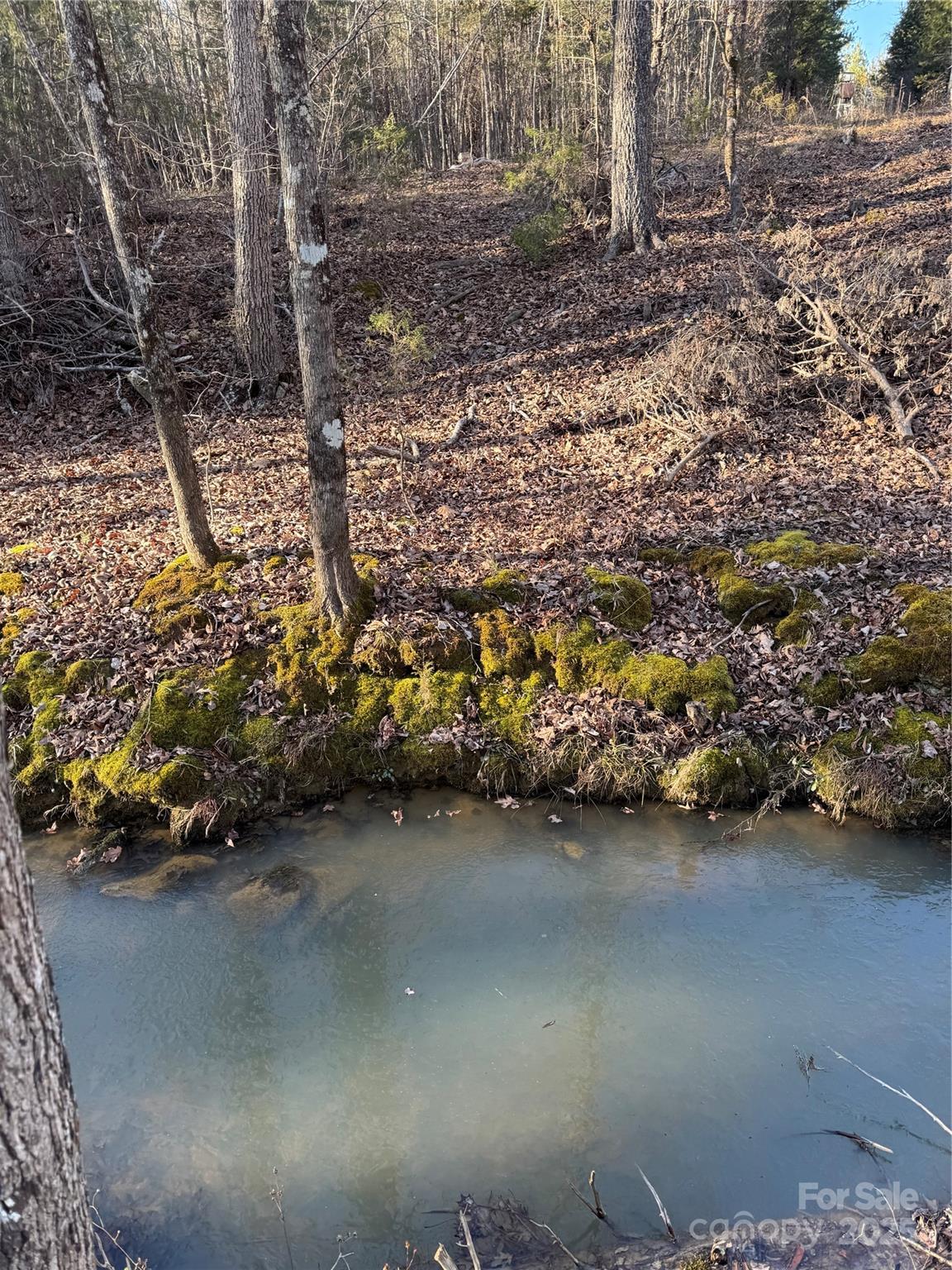 0 Daystar Road, Unit 4 Lancaster, SC 29720 - Photo 17 of 24