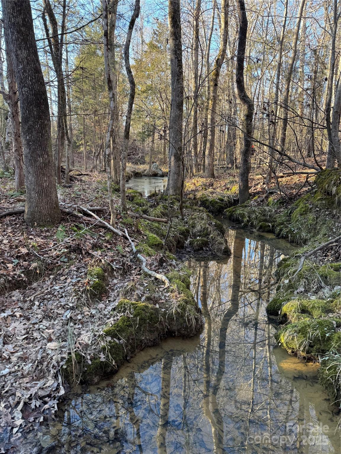 0 Daystar Road, Unit 4 Lancaster, SC 29720 - Photo 20 of 24