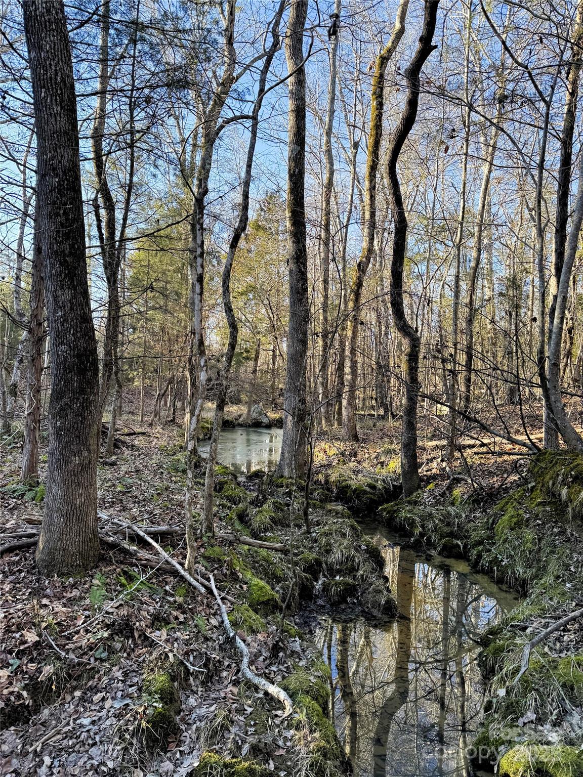 0 Daystar Road, Unit 4 Lancaster, SC 29720 - Photo 21 of 24