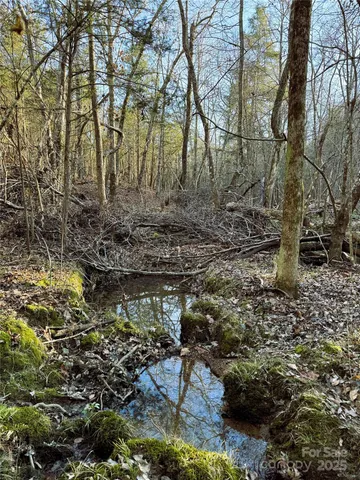 $400,000 | 0 Daystar Road, Unit 4, Lancaster, SC 29720