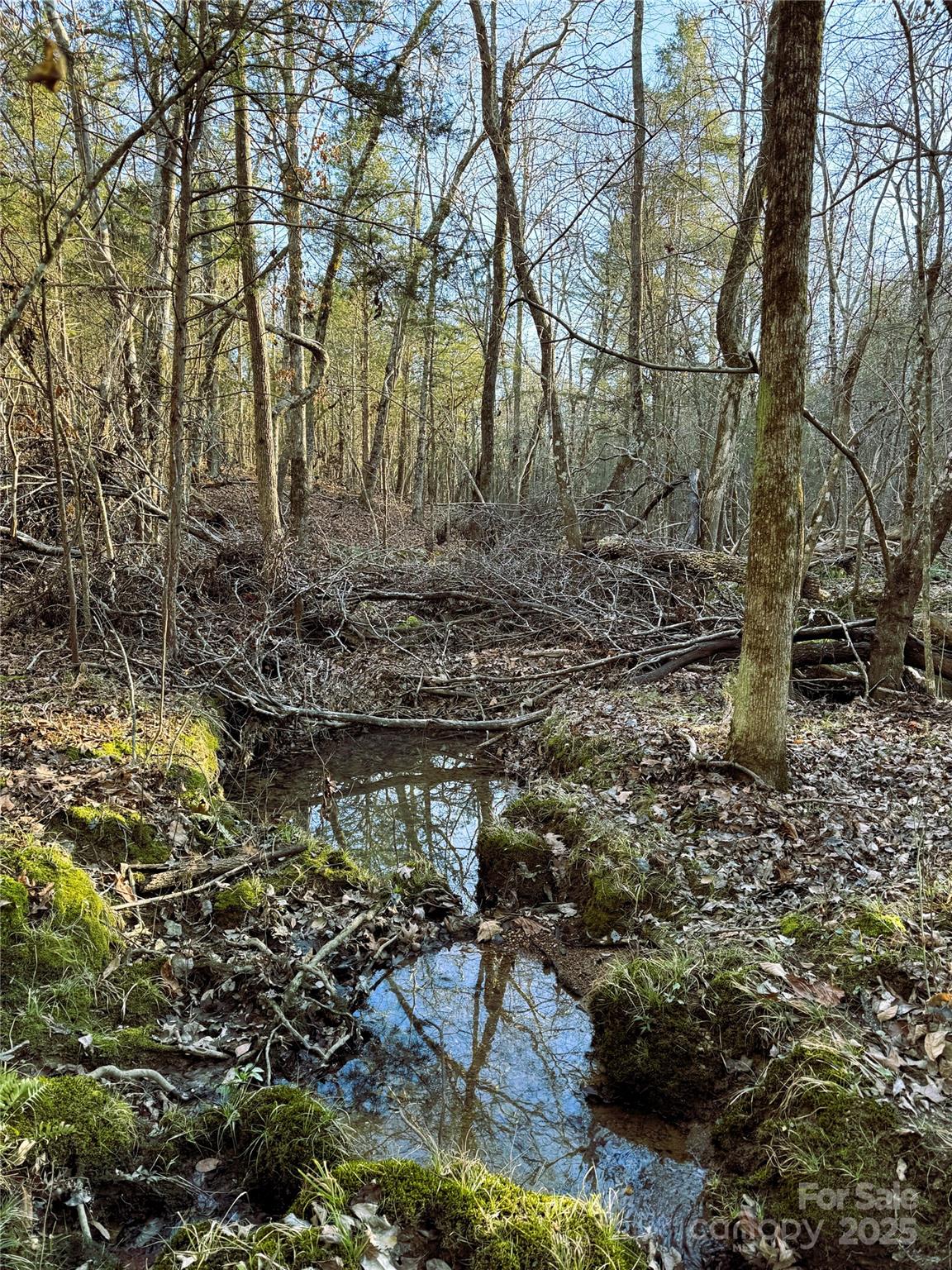 0 Daystar Road, Unit 4 Lancaster, SC 29720 - Photo 22 of 24