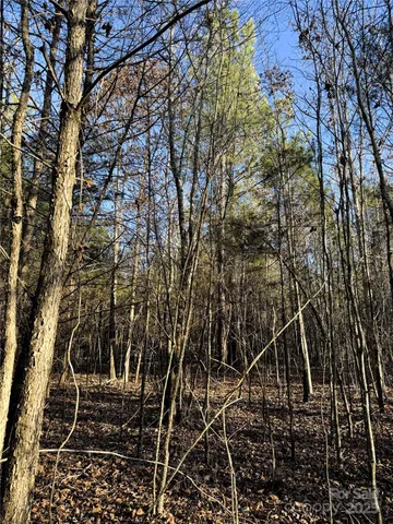 $400,000 | 0 Daystar Road, Unit 4, Lancaster, SC 29720