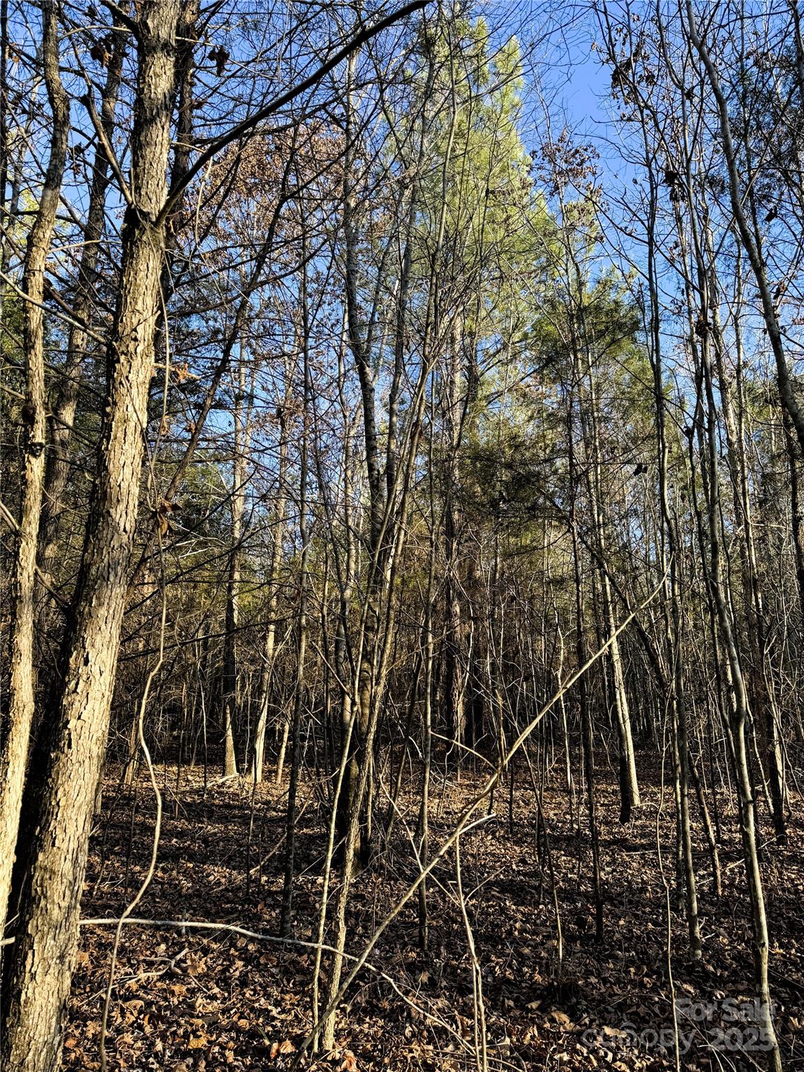 0 Daystar Road, Unit 4 Lancaster, SC 29720 - Photo 23 of 24