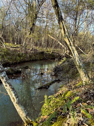 $400,000 | 0 Daystar Road, Unit 4, Lancaster, SC 29720