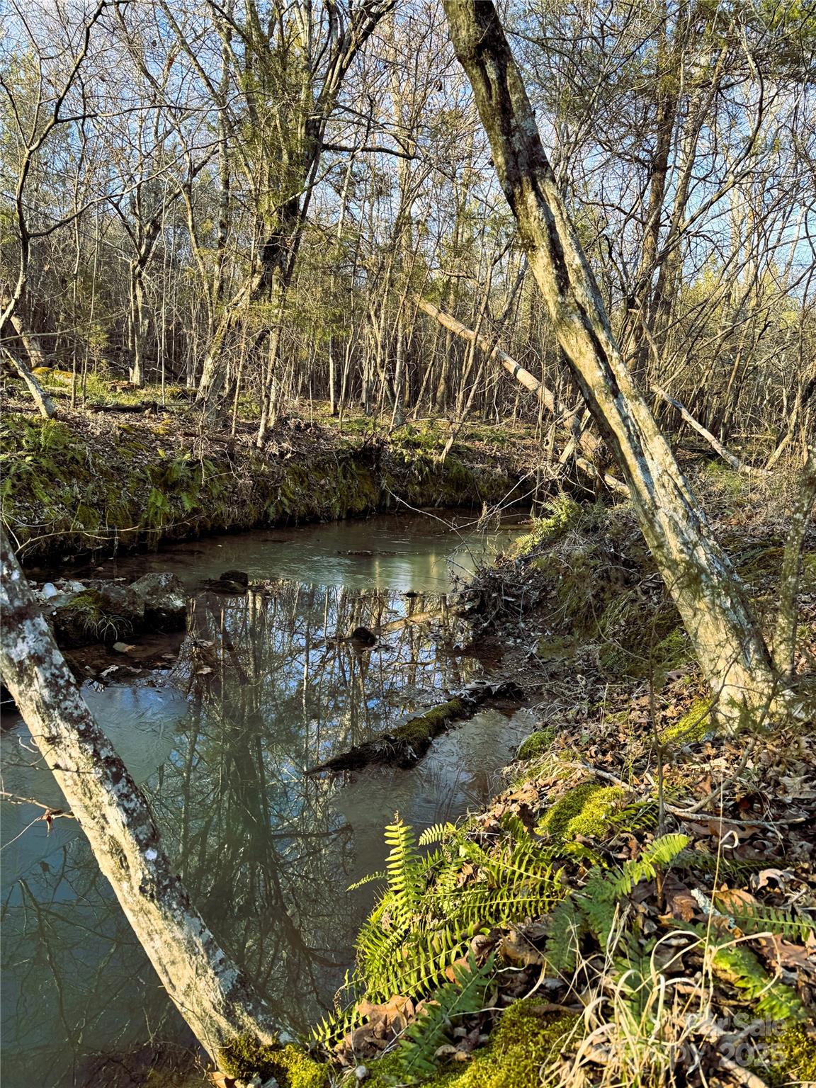 0 Daystar Road, Unit 4 Lancaster, SC 29720 - Photo 24 of 24