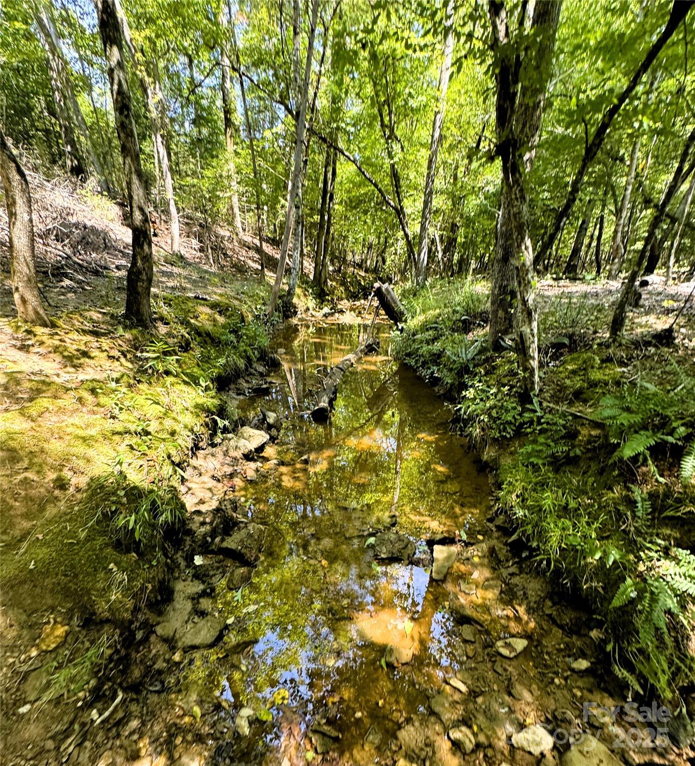 0 Daystar Road, Unit 4 Lancaster, SC 29720 - Photo 3 of 24