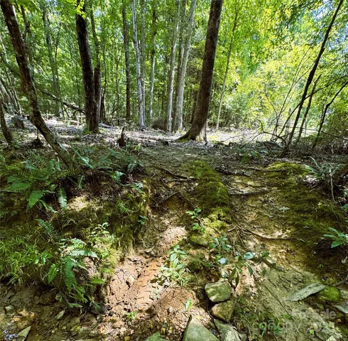 $400,000 | 0 Daystar Road, Unit 4, Lancaster, SC 29720