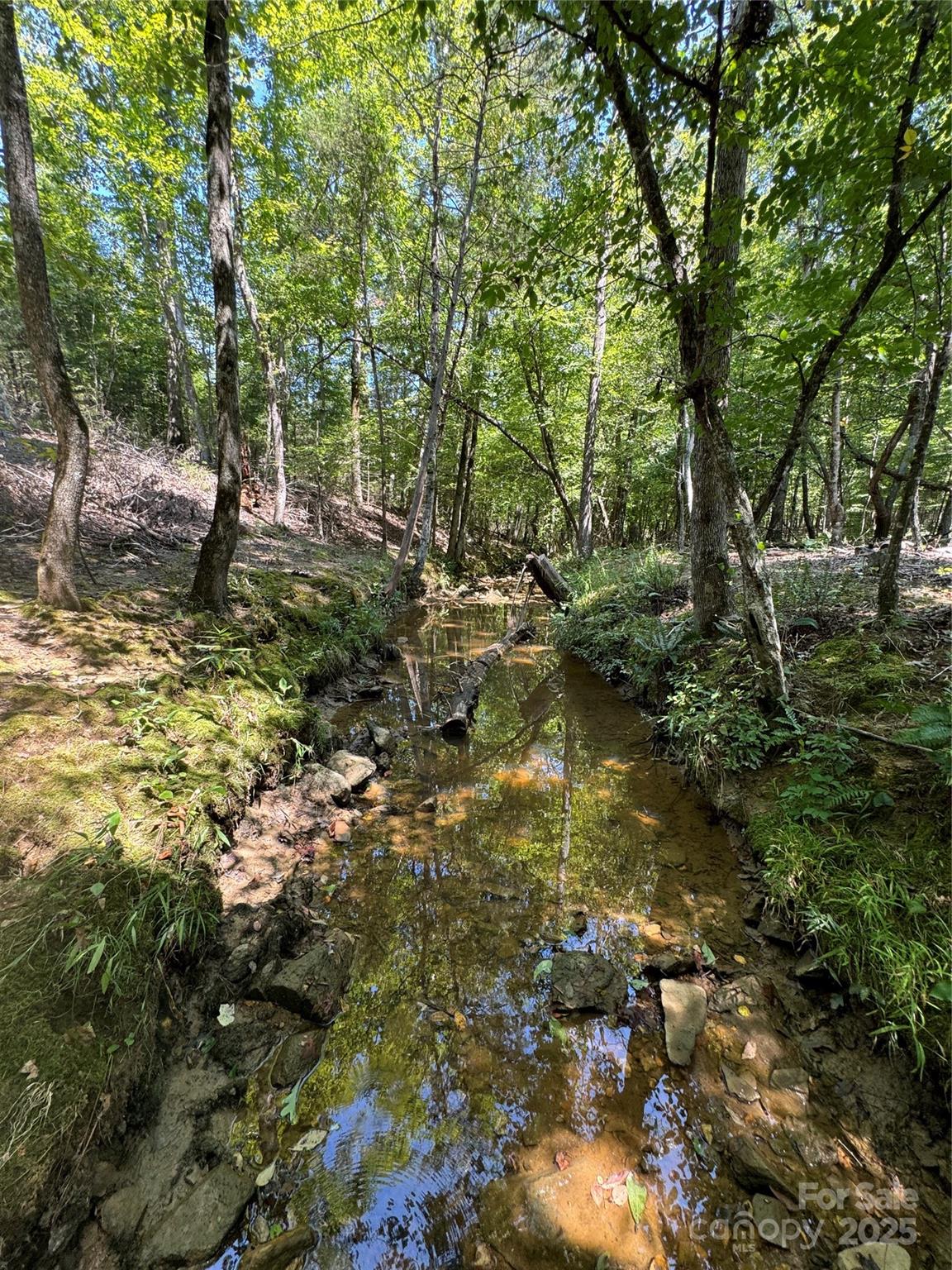 0 Daystar Road, Unit 4 Lancaster, SC 29720 - Photo 6 of 24