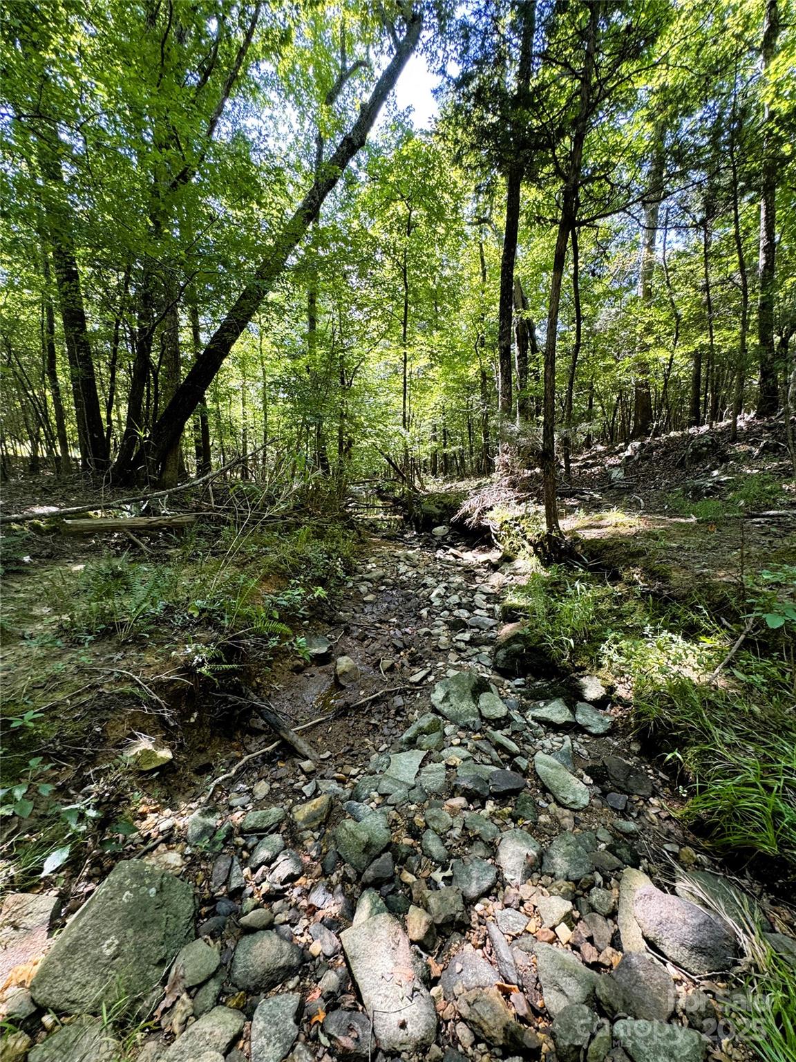 0 Daystar Road, Unit 4 Lancaster, SC 29720 - Photo 8 of 24