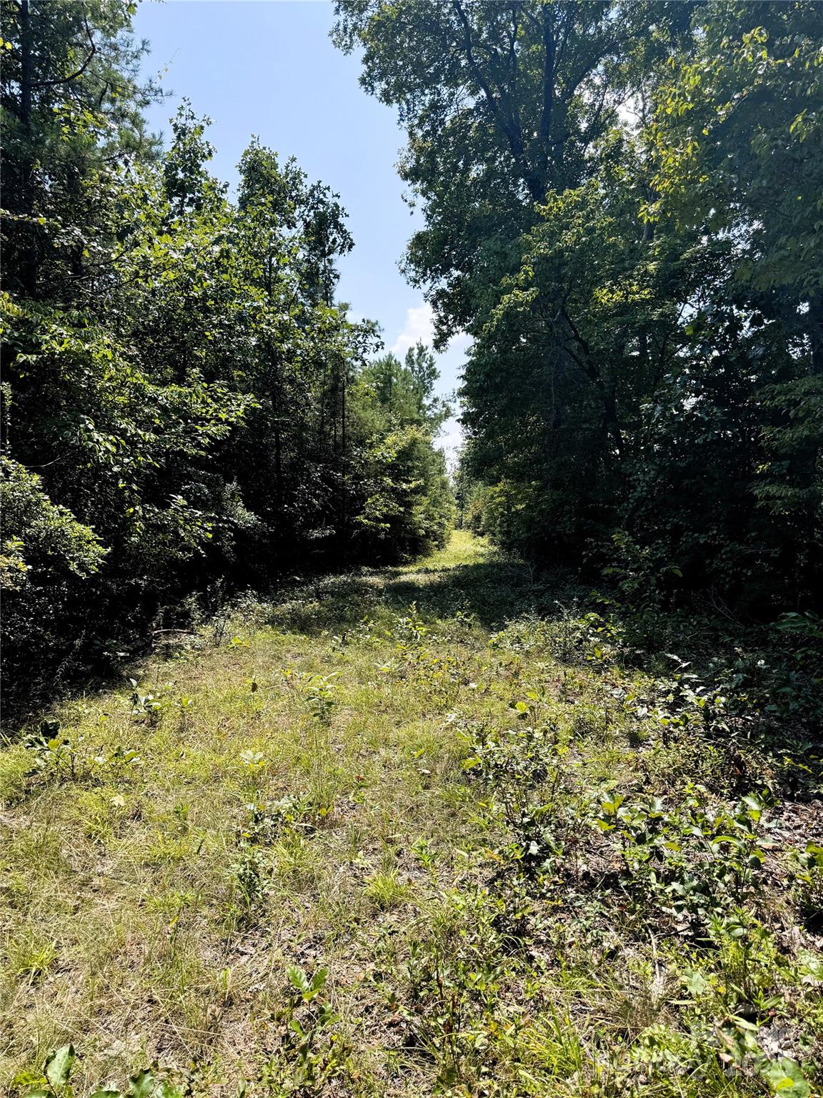 0 Daystar Road, Unit 4 Lancaster, SC 29720 - Photo 10 of 24